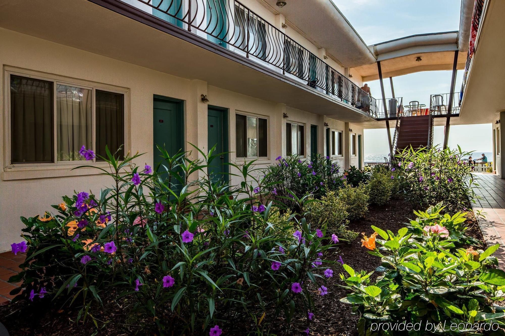 Beach Plaza Hotel Όσεαν Σίτι Εξωτερικό φωτογραφία